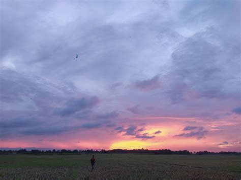 Kite Flying Sunset - Free photo on Pixabay - Pixabay
