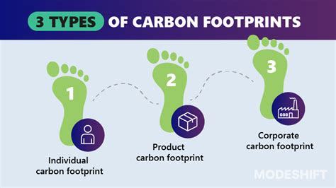 The Importance Of A Carbon Footprint: All You Need To Know