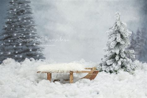 Digital Backdrop | Christmas photography, Backdrops, Digital backdrops