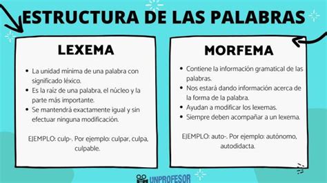 Estructura de las PALABRAS: morfemas y lexemas - con vídeos y ejercicios!