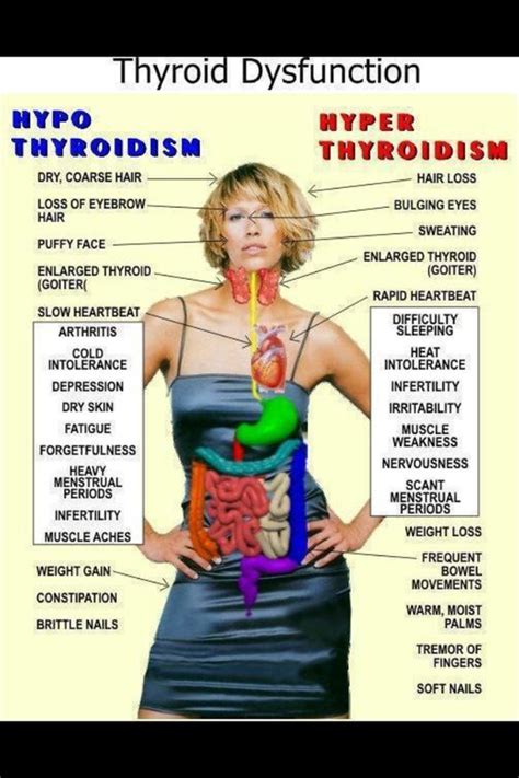 Famous quotes about 'Thyroid' - Sualci Quotes 2019