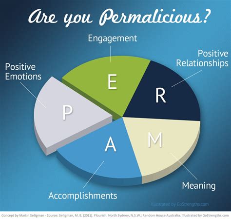 What is PERMA by Martin Seligman