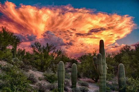 Dust storm sunset in Arizona. | Desert art, Nature, Arizona