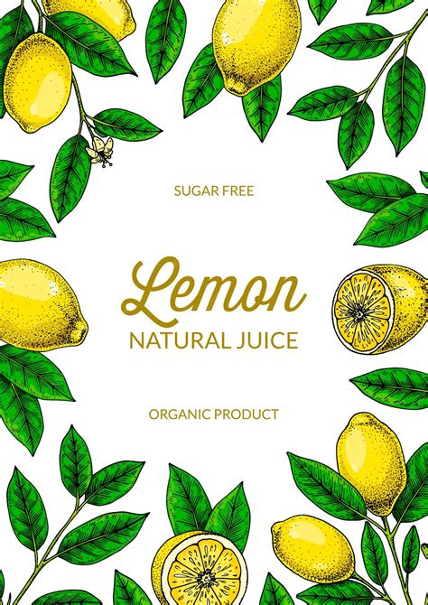 Premium Vector | Vertical lemon background hand drawn colorful vector ...