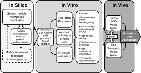 Example roadmap for immunogenicity prediction. A potential step-wise... | Download Scientific ...