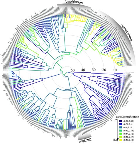 Complete Phylogenetic Tree Of Life