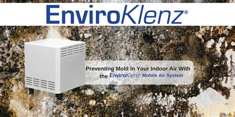 5 Methods to Clean Up and Eliminate Mold From Your Home! | EnviroKlenz