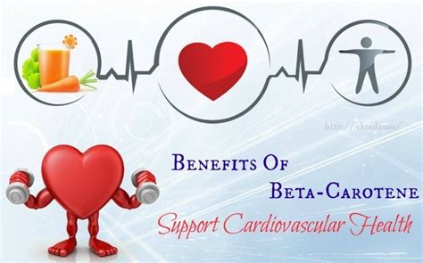 15 Noticeable Health And Beauty Benefits Of Beta-Carotene