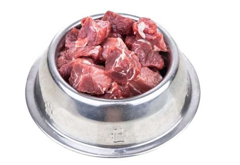 Is Organ Meat Good For Dogs (Raw Feeding For Dogs)