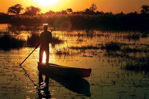 Okavango delta Botswana houseboat rentals cruise boats fishing birding