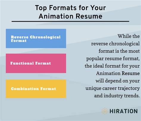 Animation Resume: The 2022 Guide with 20+ Animation Resume Samples