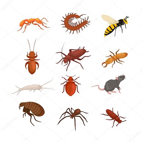 Pest Control Images Free Download | Pest Control