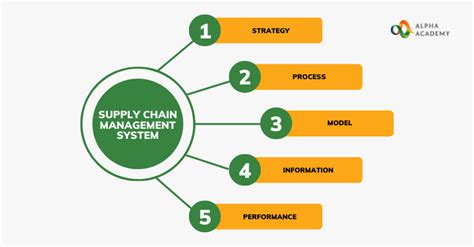 Supply Chain Management: What You Need to Know | Alpha Academy