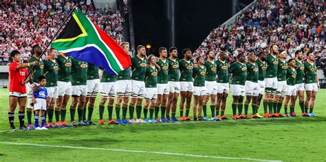 We share your pain South Africa – Springboks | SA Rugby