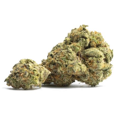 Orange Cookies Strain Information | Orange Cookies Terpenes & Seeds