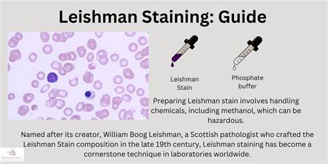 Leishman Stain Composition, Uses, Preparation, Function