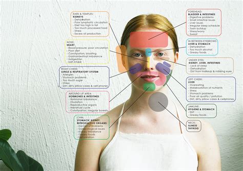 Ayurvedic Face Map - Rasasara Skinfood.