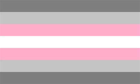 Demigirl Flag | Pride Flag Wiki | Fandom