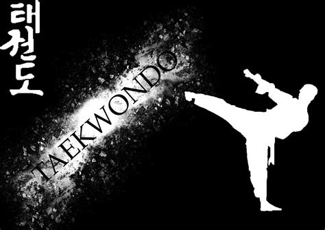 Taekwondo HD Wallpapers - Wallpaper Cave