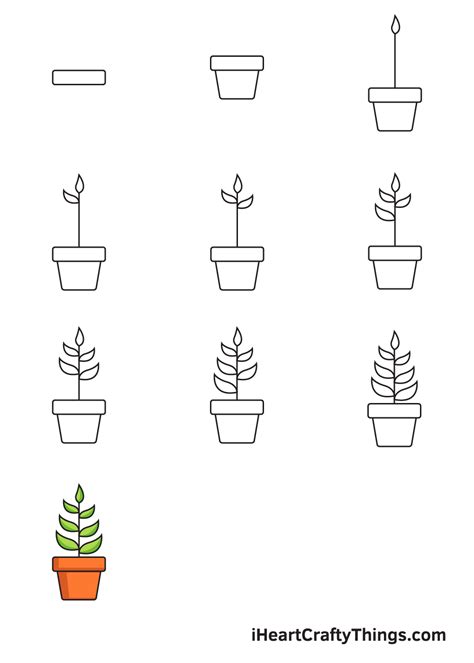 14+ Easy Plant Drawing - KuwatLaithen