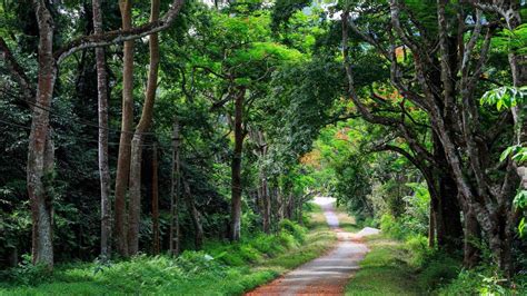 Hanoi One Day Tour to Cuc Phuong National Park in Ninh Binh