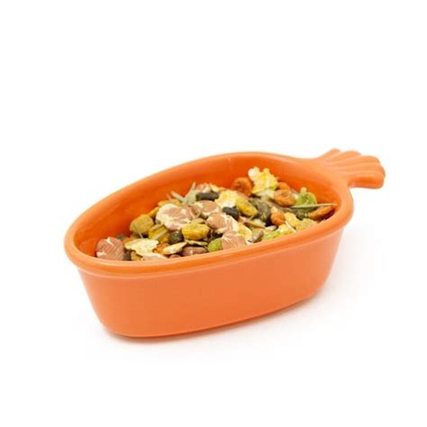 Buy Great&Small Ceramic Carrot Pet Dish from £7.99