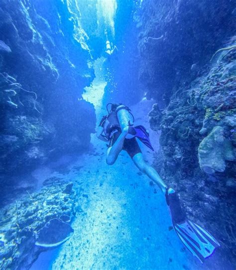 Best Cozumel Dive Sites: Epic Swim Throughs & Fast Drift Dives