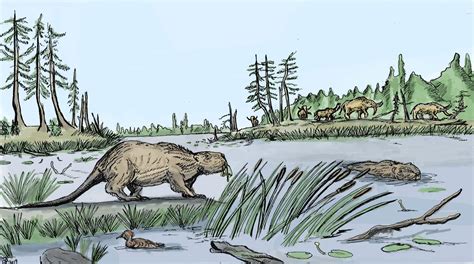 Why Giant Beavers Went Extinct 10,000 Years Ago | Sci.News