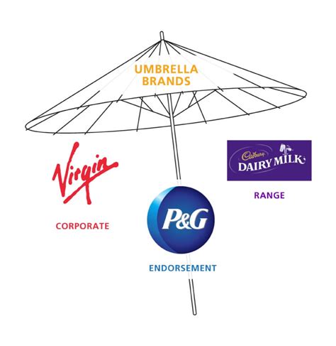 Umbrella Brands | Brand Architecture Strategy and Synergy