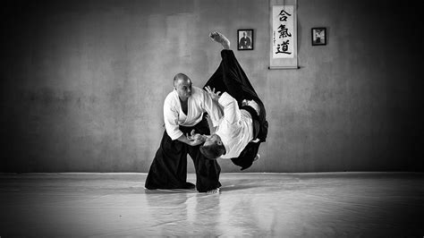 Aikido Wallpapers - Top Free Aikido Backgrounds - WallpaperAccess