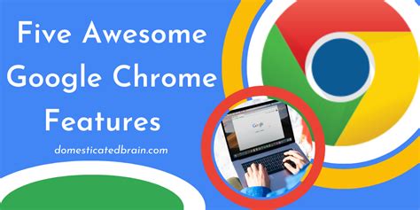 Five Awesome Google Chrome Features | Domesticated Brain