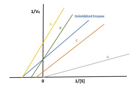 Competitive Inhibition Lineweaver Burk Plot