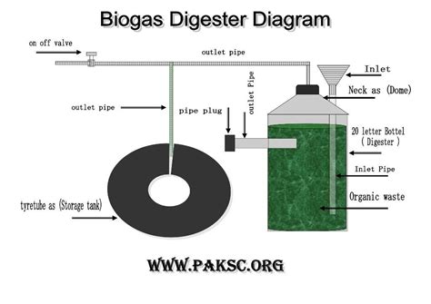 DIY Biogas Plant | Biogas digester, Biogas, Science fair