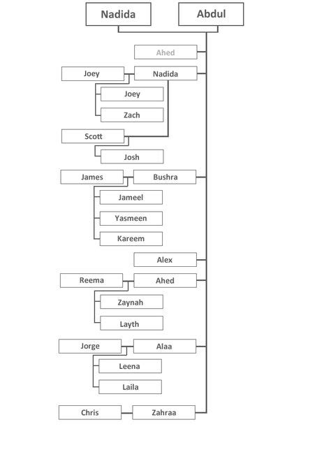The Hbaiu and Shami Family Tree. Ahed Hbaiu #ahedhbaiu | Family tree ...