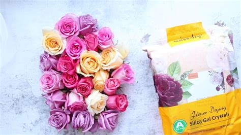 Drying Roses with Silica Gel | Drying roses, Silica gel, Silica