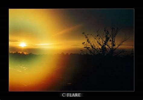 Astonishing Examples of Sun Flare Photography