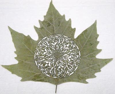 CEREBRAL BOINKFEST: Leaf Art