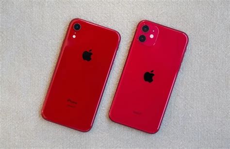 iPhone XR vs iPhone 11: Which is Best to Buy?