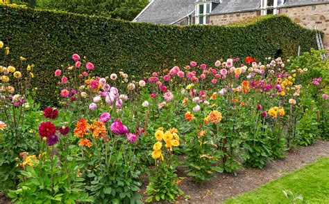 Fyvie Castle Aberdeenshire: A Jewel in North East Scotland