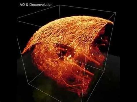 Adaptive Optics Microscopy - YouTube