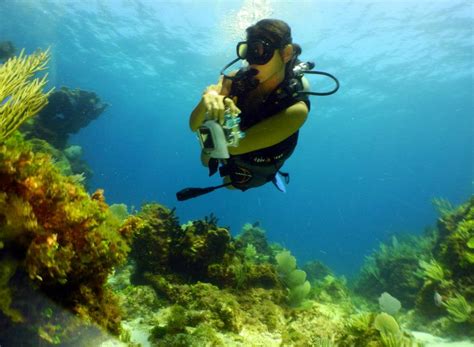 Scuba Diving Cancun Mexico Address and Map