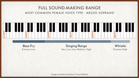 Find Your Vocal Range and Voice Type Test | VOCAL NEBULA