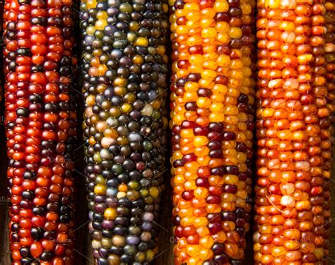 Multicolored Indian Corn | High-Quality Holiday Stock Photos ~ Creative ...