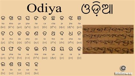 Odiya Language | Oriya | RitiRiwaz