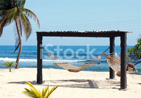 Two Hammocks On Beach Stock Photo | Royalty-Free | FreeImages