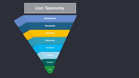 Lion Taxonomy Pyramid Diagram | EdrawMax Templates