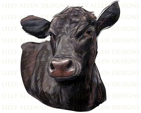 Black Angus Calf Bucking Clipart