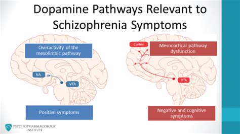 Mechanism Of Action Of Antipsychotic Drugs Pdf - IMAGESEE