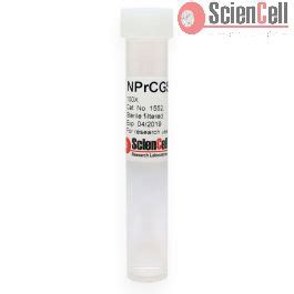 Neural Precursor Cell Growth Supplement (NPCGS)