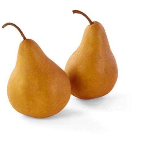 Bosc Pears, Bulk - Walmart.com - Walmart.com